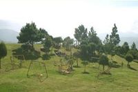 Garden of the Ranch RANCHO GUARAGUAO - Constanza - Dominican Republic